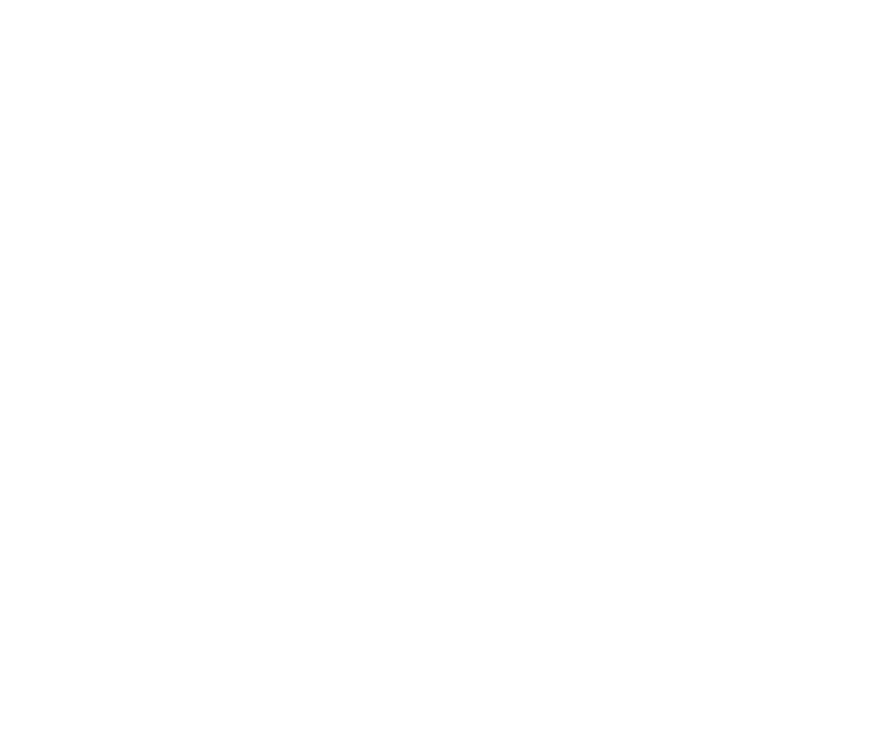 Logo de IRM